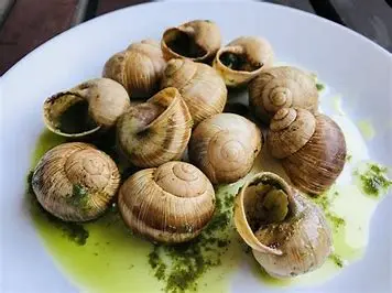 Escargot